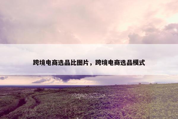 跨境电商选品比图片,跨境电商选品模式