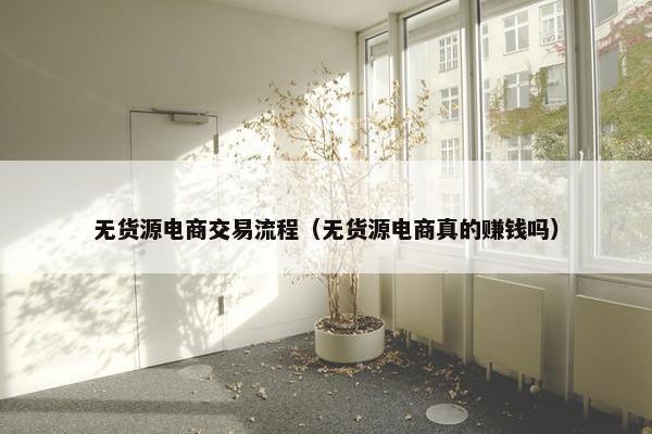 无货源电商交易流程(无货源电商真的赚钱吗)