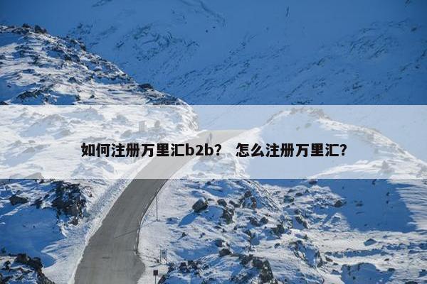 如何注册万里汇b2b? 怎么注册万里汇?