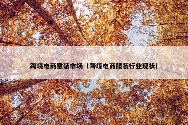 跨境电商童装市场(跨境电商服装行业现状)