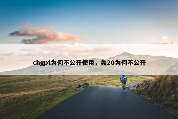chgpt为何不公开使用,轰20为何不公开