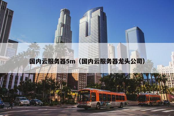 国内云服务器5m(国内云服务器龙头公司)