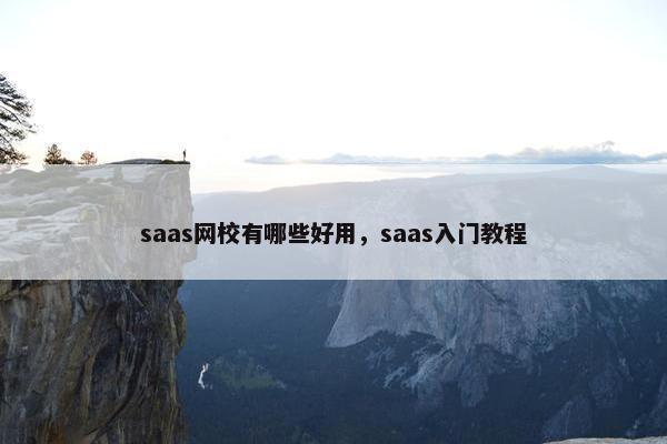 saas网校有哪些好用,saas入门教程