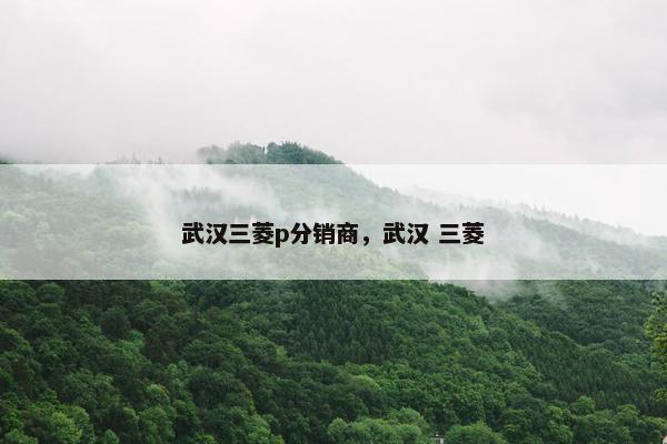 武汉三菱p分销商,武汉 三菱