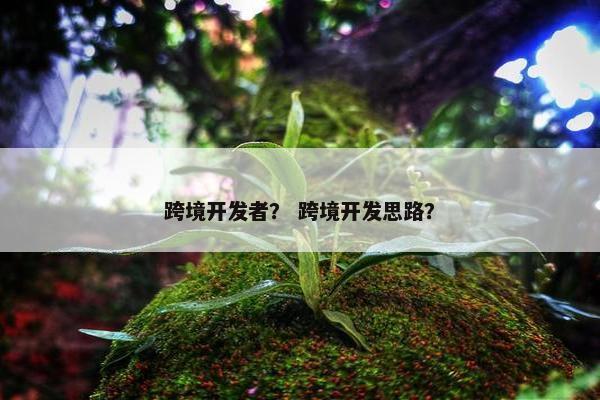 跨境开发者? 跨境开发思路?