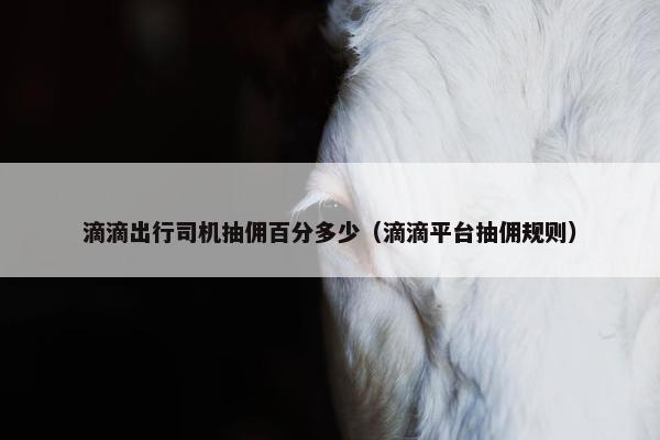 滴滴出行司机抽佣百分多少(滴滴平台抽佣规则)