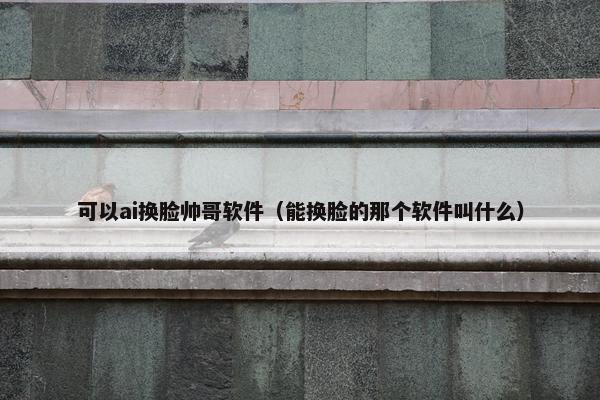 可以ai换脸帅哥软件(能换脸的那个软件叫什么)