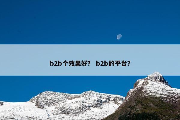 b2b个效果好? b2b的平台?