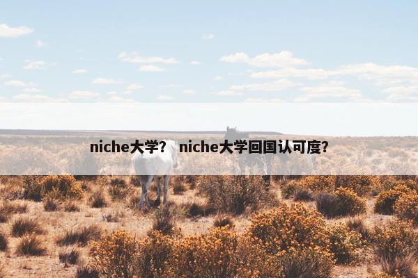 niche大学? niche大学回国认可度?