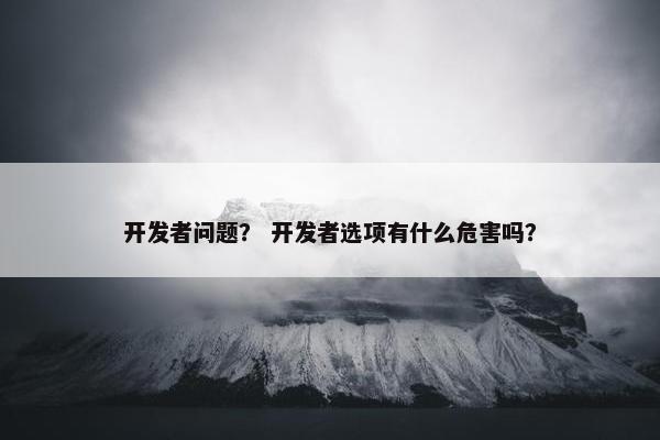 开发者问题? 开发者选项有什么危害吗?