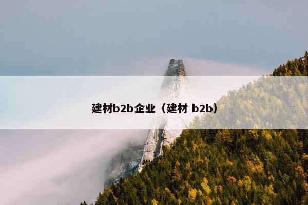 建材b2b企业(建材 b2b)