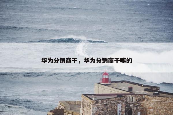 华为分销商干,华为分销商干嘛的 华为分销商干,华为分销商干嘛的