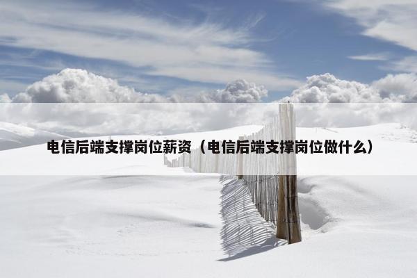 电信后端支撑岗位薪资(电信后端支撑岗位做什么)
