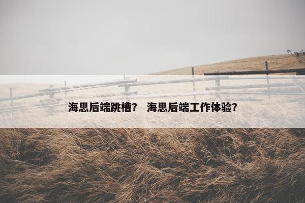 海思后端跳槽? 海思后端工作体验?