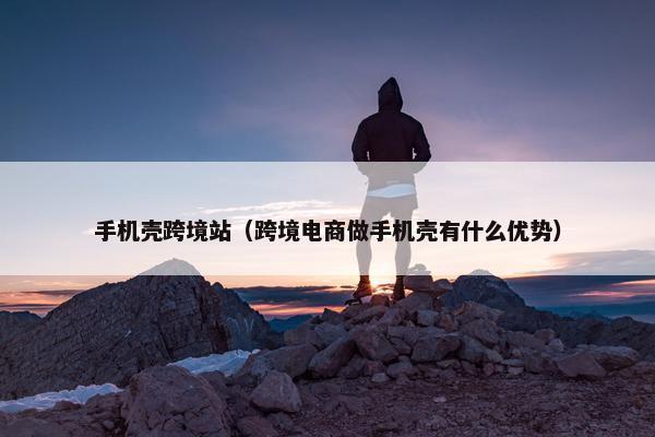 手机壳跨境站(跨境电商做手机壳有什么优势)
