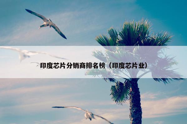 印度芯片分销商排名榜(印度芯片业)