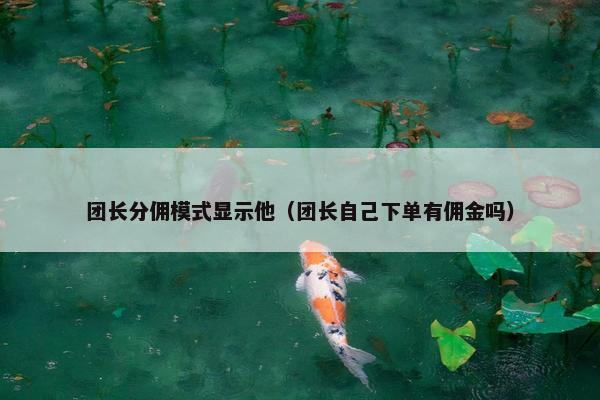 团长分佣模式显示他（团长自己下单有佣金吗）