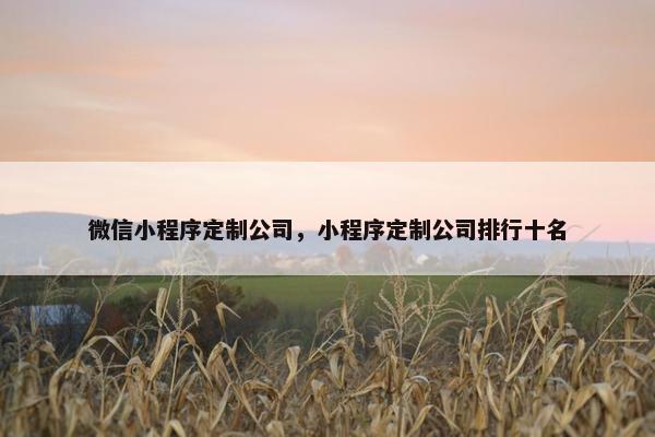 微信小程序定制公司，小程序定制公司排行十名