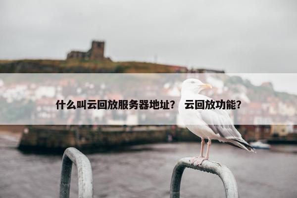 什么叫云回放服务器地址？ 云回放功能？