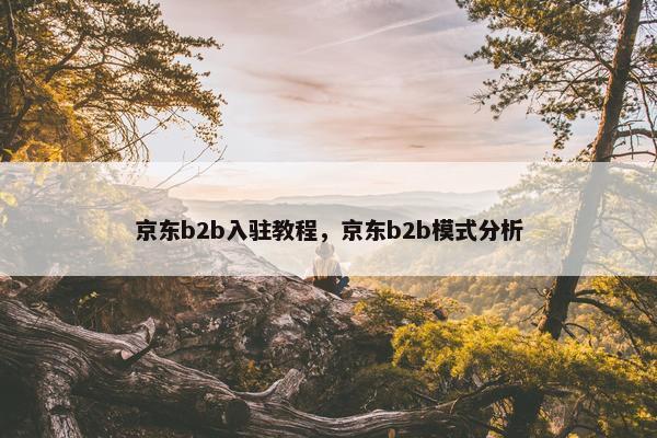 京东b2b入驻教程,京东b2b模式分析