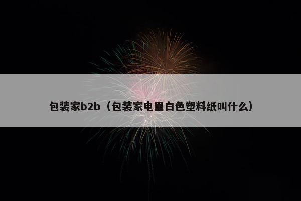包装家b2b(包装家电里白色塑料纸叫什么)