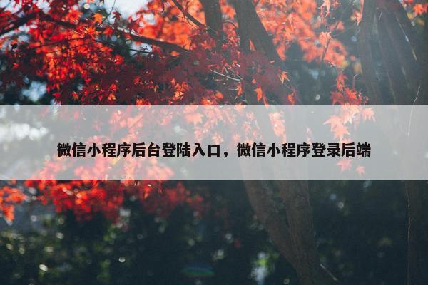 微信小程序后台登陆入口，微信小程序登录后端