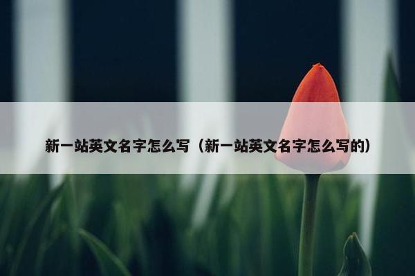 新一站英文名字怎么写（新一站英文名字怎么写的）