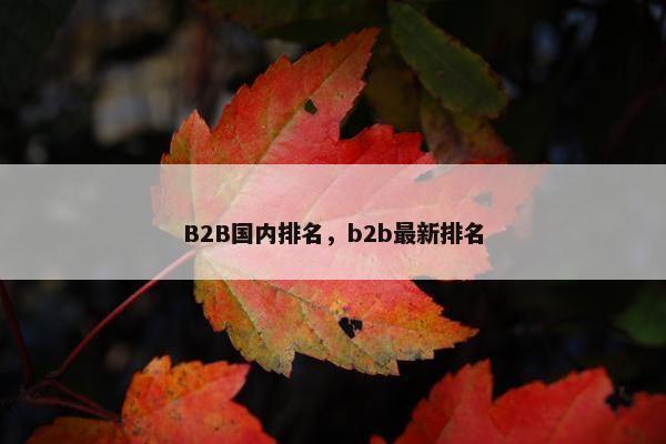 B2B国内排名,b2b最新排名
