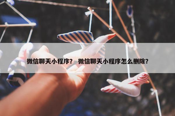 微信聊天小程序? 微信聊天小程序怎么删除?