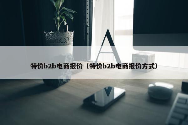 特价b2b电商报价（特价b2b电商报价方式）